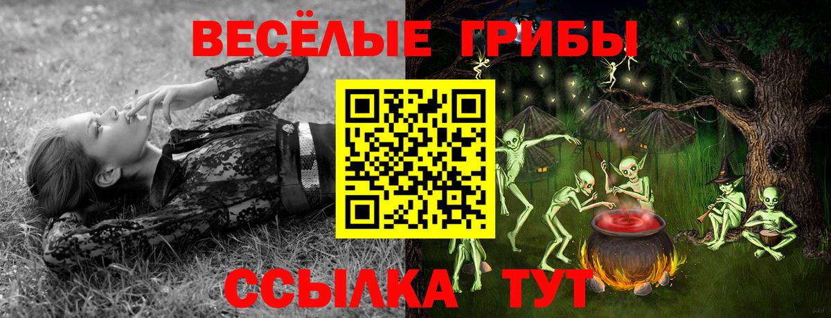Галлюциногенные грибы мухоморы Елабуга