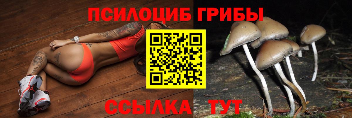 Галлюциногенные грибы прущие грибы  Вход с VPN  Елабуга 